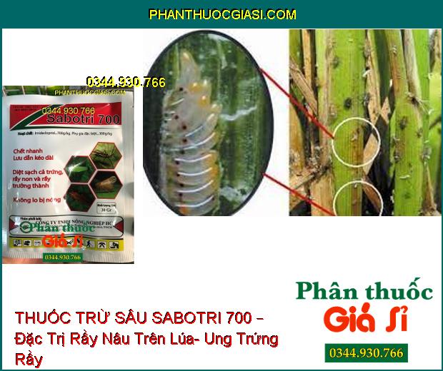 THUỐC TRỪ SÂU SABOTRI 700 – Đặc Trị Rầy Nâu Trên Lúa- Ung Trứng Rầy