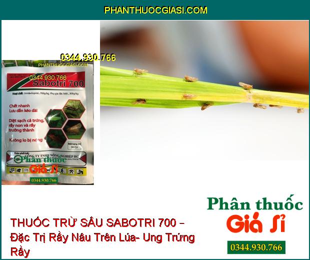 THUỐC TRỪ SÂU SABOTRI 700 – Đặc Trị Rầy Nâu Trên Lúa- Ung Trứng Rầy