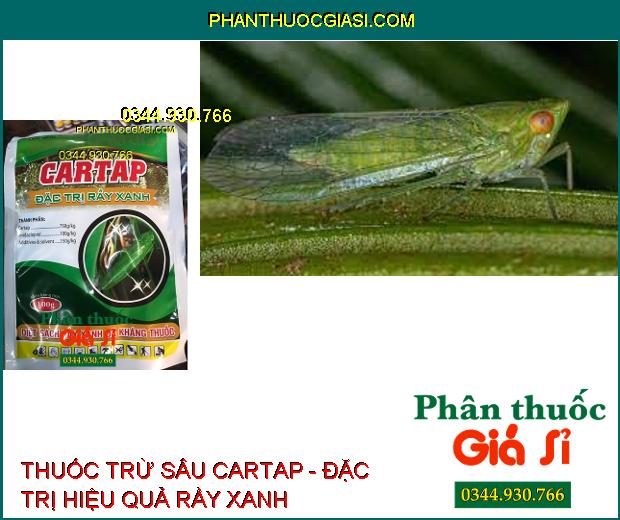 THUỐC TRỪ SÂU CARTAP - Đặc Trị Sâu Cuốn Lá- Rầy Xanh