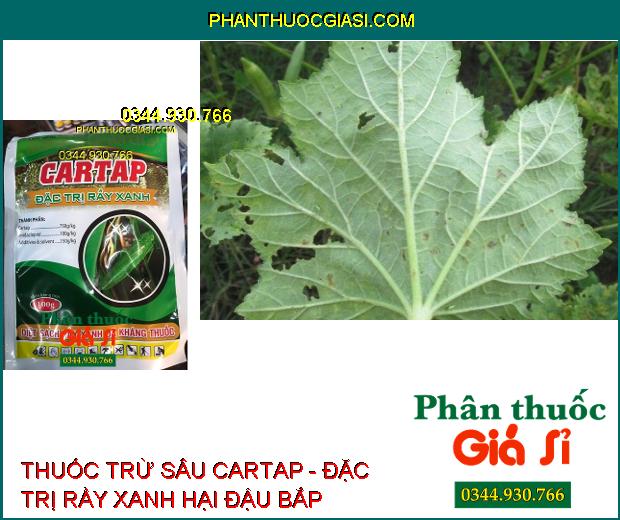 THUỐC TRỪ SÂU CARTAP - Đặc Trị Sâu Cuốn Lá- Rầy Xanh