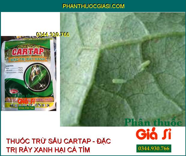 THUỐC TRỪ SÂU CARTAP - Đặc Trị Sâu Cuốn Lá- Rầy Xanh