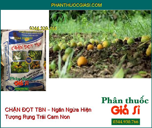 CHẶN ĐỌT TBN – Ức Chế Đọt Non- Hạn Chế Rụng Trái- Ngăn Ngừa Sượng Trái, Méo Trái