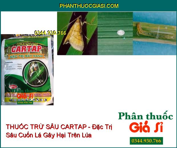 THUỐC TRỪ SÂU CARTAP - Đặc Trị Sâu Cuốn Lá- Rầy Xanh