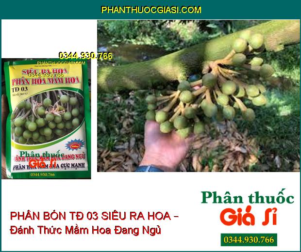 PHÂN BÓN TĐ 03 SIÊU RA HOA – Đánh Thức Mầm Hoa Đang Ngủ- Phân Hóa Mầm Hoa Cực Mạnh