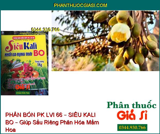 PHÂN BÓN HỖN HỢP PK LVI 66 – SIÊU KALI BO – Tăng Đậu Hạt, Trái- Cứng Cây- Kháng Sâu Bệnh