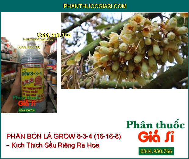 PHÂN BÓN LÁ GROW 8-3-4 (16-16-8) – Sinh Trưởng Nhanh- Ra Hoa Đậu Trái Nhiều- Trái Chín Đồng Loạt