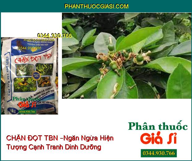 CHẶN ĐỌT TBN – Ức Chế Đọt Non- Hạn Chế Rụng Trái- Ngăn Ngừa Sượng Trái, Méo Trái