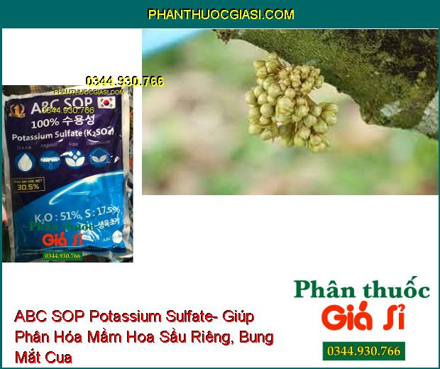 ABC SOP Potassium Sulfate ( 0-0-51+ 17.5S) - Cứng Cây- Chặn Đọt- Tăng Ra Hoa, Đậu Quả- To Trái