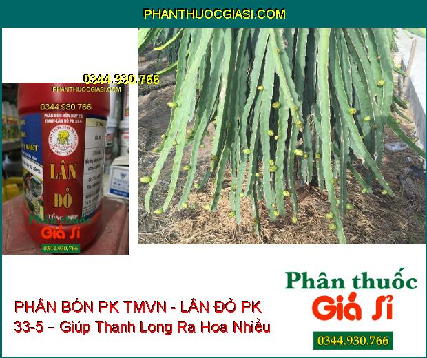 PHÂN BÓN HỖN HỢP PK TMVN - LÂN ĐỎ PK 33-5 – Kích Ra Rễ- Tạo Củ- Phân Hóa Mầm Hoa- Phục Hồi Vườn Cây 