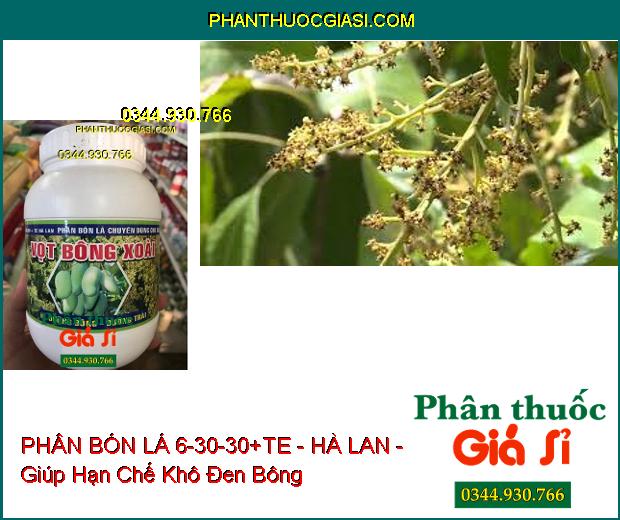 PHÂN BÓN LÁ 6-30-30+TE - HÀ LAN - Ra Hoa Mạnh- Cuống Hoa Chắc Dẻo- Tăng Đậu Trái