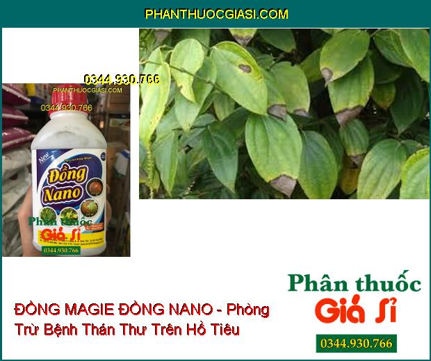 DUNG DỊCH ĐỒNG MAGIE ĐỒNG NANO - Tẩy Sạch Rong Rêu- Đặc Trị Nấm Bệnh- Sáng Trái