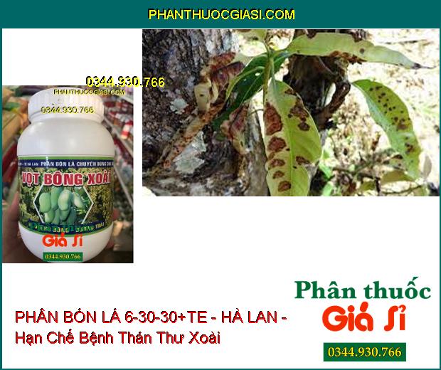 PHÂN BÓN LÁ 6-30-30+TE - HÀ LAN - Ra Hoa Mạnh- Cuống Hoa Chắc Dẻo- Tăng Đậu Trái