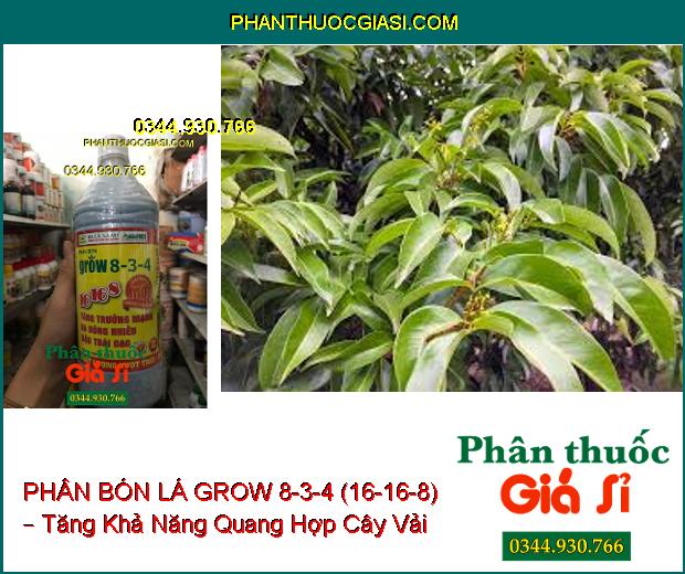 PHÂN BÓN LÁ GROW 8-3-4 (16-16-8) – Sinh Trưởng Nhanh- Ra Hoa Đậu Trái Nhiều- Trái Chín Đồng Loạt