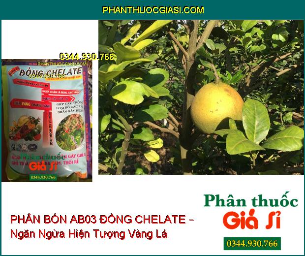 PHÂN BÓN AB03 ĐỒNG CHELATE – Xanh Cây Tốt Lá- Ngừa Vàng Lá- Thối Rễ- Xoắn Lá Non