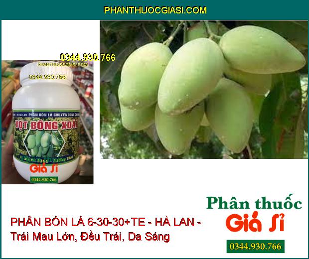 PHÂN BÓN LÁ 6-30-30+TE - HÀ LAN - Ra Hoa Mạnh- Cuống Hoa Chắc Dẻo- Tăng Đậu Trái