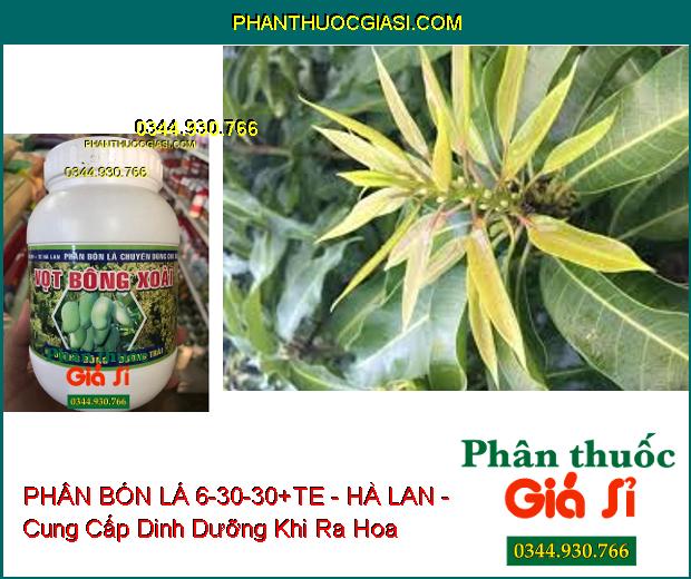 PHÂN BÓN LÁ 6-30-30+TE - HÀ LAN - Ra Hoa Mạnh- Cuống Hoa Chắc Dẻo- Tăng Đậu Trái