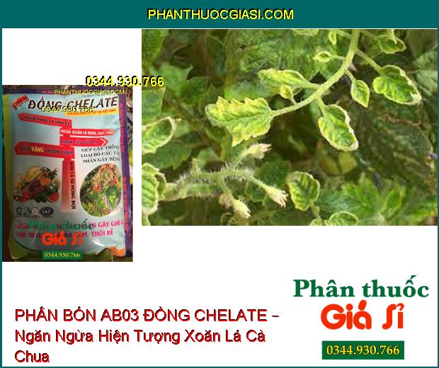 PHÂN BÓN AB03 ĐỒNG CHELATE – Xanh Cây Tốt Lá- Ngừa Vàng Lá- Thối Rễ- Xoắn Lá Non