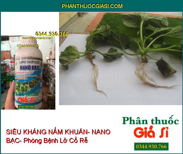 SIÊU KHÁNG NẤM KHUẨN- NANO BẠC- Bảo Vệ Cây Trái Sạch Nấm Bệnh- Tăng Năng Suất- Đẹp Mã