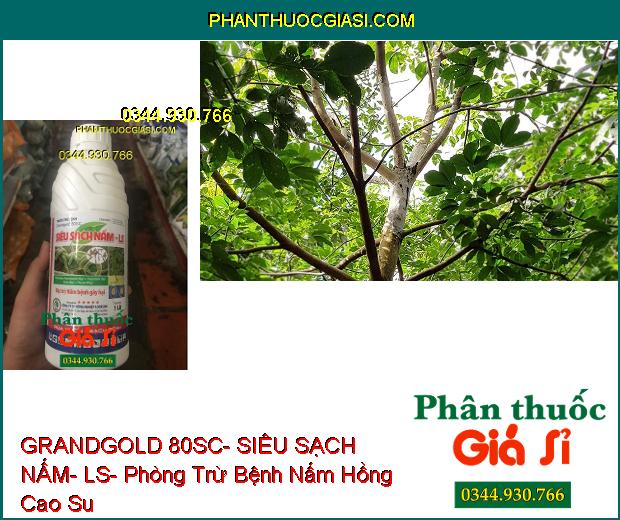 THUỐC TRỪ BỆNH GRANDGOLD 80SC- SIÊU SẠCH NẤM- LS- Phòng Trừ Các Bệnh Do Nấm Gây Ra