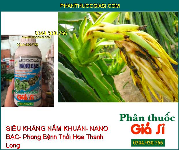 SIÊU KHÁNG NẤM KHUẨN- NANO BẠC- Bảo Vệ Cây Trái Sạch Nấm Bệnh- Tăng Năng Suất- Đẹp Mã