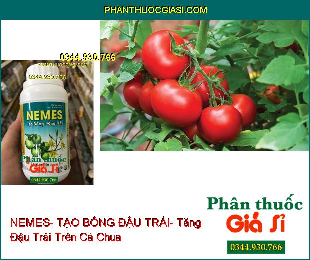 PHÂN BÓN VI LƯỢNG NEMES- TẠO BÔNG ĐẬU TRÁI- Mập Bông- Đậu Nhiều Trái- Tạo Trái Đều