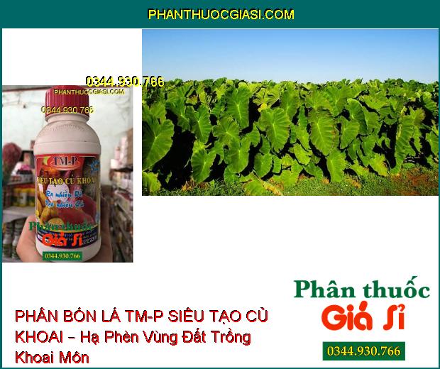 PHÂN BÓN LÁ CAO CẤP TM-P SIÊU TẠO CỦ KHOAI – Ra Rễ Nhiều- Tạo Nhiều Củ- Dùng Cho Tất Cả Các Loại Khoai