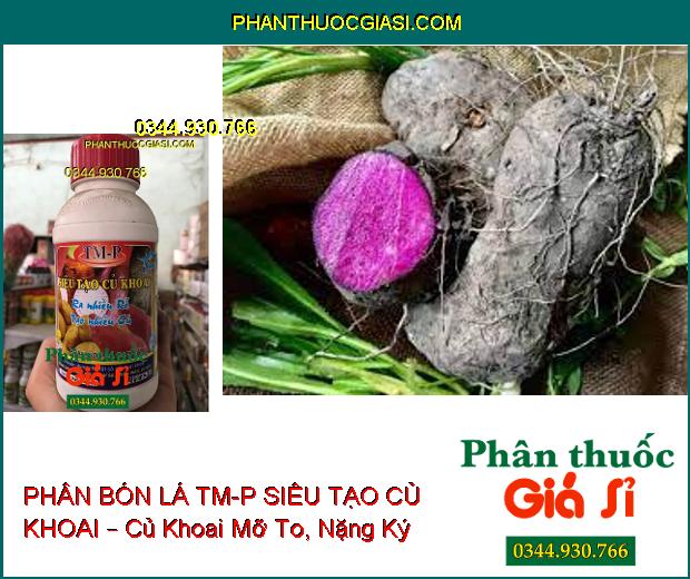 PHÂN BÓN LÁ CAO CẤP TM-P SIÊU TẠO CỦ KHOAI – Ra Rễ Nhiều- Tạo Nhiều Củ- Dùng Cho Tất Cả Các Loại Khoai