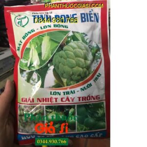 PHÂN BÓN TĐ14 TINH RONG BIỂN – Mát Bông- Mập Bông- Mát Cây- Dưỡng Trái