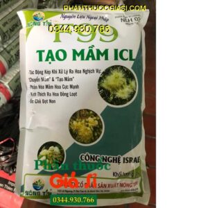 F99 TẠO MẦM ICL