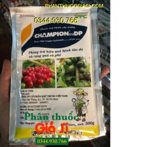 THUỐC TRỪ BỆNH CHAMPION 57.6 DP- Phòng Trừ Hiệu Quả Bệnh Tảo Đỏ Và Rụng Quả Cà Phê