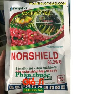 THUỐC TRỪ BỆNH NORSHIELD 86.2WG- Đặc Trị Rỉ Sắt- Thán Thư- Bạc Lá Lúa