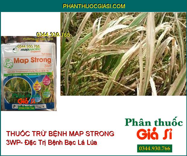 THUỐC TRỪ BỆNH MAP STRONG 3WP- Đặc Trị Bệnh Bạc Lá- Héo Xanh Do Vi Khuẩn