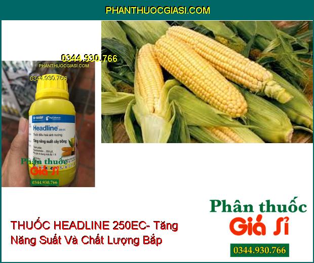 THUỐC ĐIỀU HÒA SINH TRƯỞNG HEADLINE 250EC- Kích Thích Cây Tăng Trưởng- Đâm Chồi Đẻ Nhánh Mạnh- Trái Nhanh Lớn