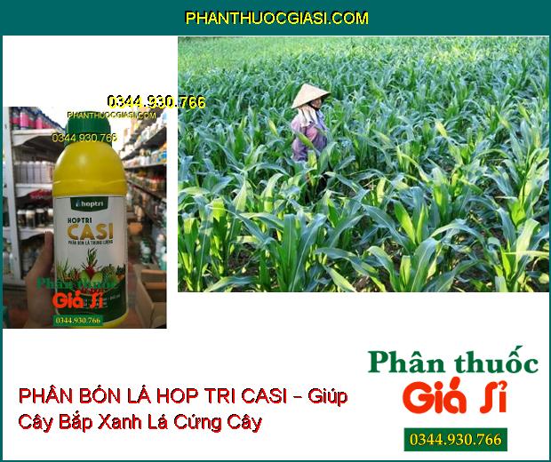 PHÂN BÓN LÁ TRUNG LƯỢNG HOP TRI CASI – Cứng Cây- Xanh Cành- Chắc Quả- Tăng Đề Kháng Sâu Bệnh