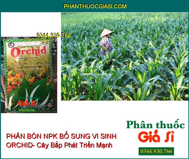 PHÂN BÓN NPK BỔ SUNG VI SINH ORCHID- Cây Con Lớn Nhanh- Mướt Lá- Xanh Lá- Dày Lá- Bung Đọt Cực Mạnh