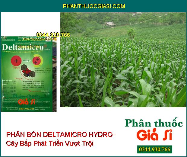 PHÂN BÓN LÁ DELTAMICRO HYDRO– Cung Cấp Vi Lượng Cho Cây Phát Triển Tốt