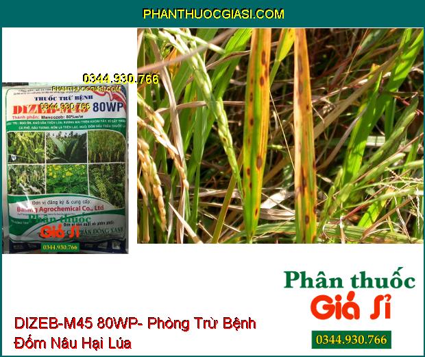 THUỐC TRỪ BỆNH DIZEB-M45 80WP-