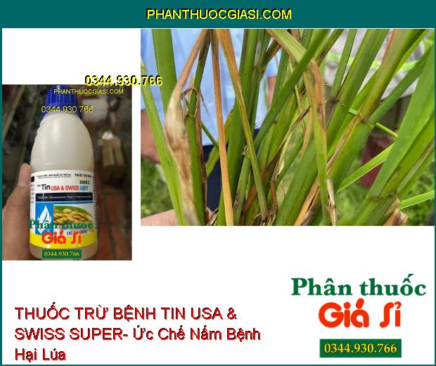 THUỐC TRỪ BỆNH TILBEST SUPER 300EC- TIN USA & SWISS SUPER- Ức Chế Nấm Bệnh- Phòng Trừ Lem Lép Hạt Lúa