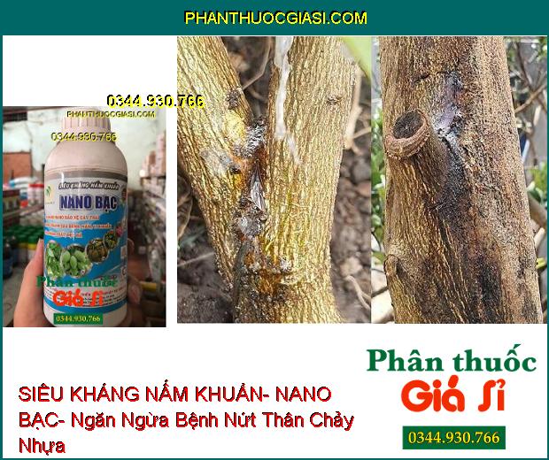 SIÊU KHÁNG NẤM KHUẨN- NANO BẠC- Bảo Vệ Cây Trái Sạch Nấm Bệnh- Tăng Năng Suất- Đẹp Mã