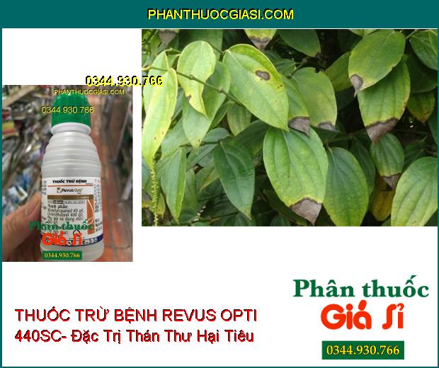 THUỐC TRỪ BỆNH REVUS OPTI 440SC- Đặc Trị Thán Thư- Sương Mai- Nứt Dây- Thối Rễ