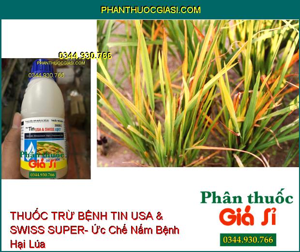 THUỐC TRỪ BỆNH TILBEST SUPER 300EC- TIN USA & SWISS SUPER- Ức Chế Nấm Bệnh- Phòng Trừ Lem Lép Hạt Lúa