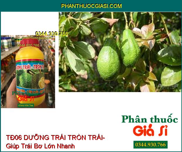 PHÂN BÓN TĐ06 DƯỠNG TRÁI TRÒN TRÁI- Vàng Cơm- Lên Màu- Đẹp Trái