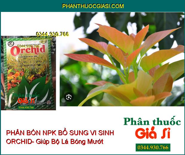 PHÂN BÓN NPK BỔ SUNG VI SINH ORCHID- Cây Con Lớn Nhanh- Mướt Lá- Xanh Lá- Dày Lá- Bung Đọt Cực Mạnh