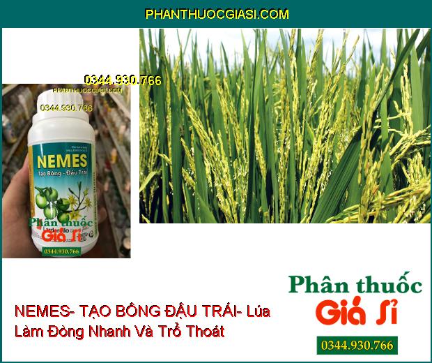 PHÂN BÓN VI LƯỢNG NEMES- TẠO BÔNG ĐẬU TRÁI- Mập Bông- Đậu Nhiều Trái- Tạo Trái Đều