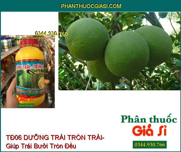 PHÂN BÓN TĐ06 DƯỠNG TRÁI TRÒN TRÁI- Vàng Cơm- Lên Màu- Đẹp Trái