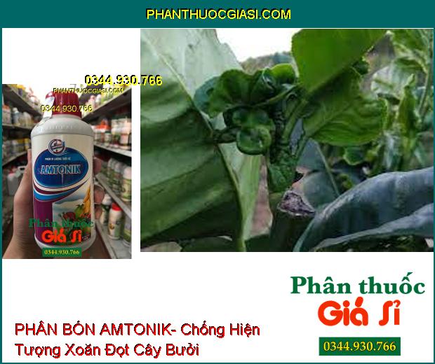 PHÂN BÓN VI LƯỢNG TƯỚI RỄ AMTONIK- Cây Tăng Trưởng Mạnh- Ra Rễ Nảy Mầm- Đâm Chồi Mạnh