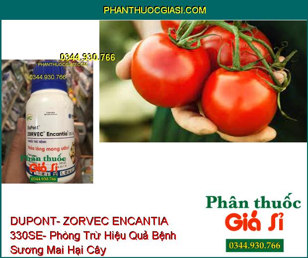 THUỐC TRỪ BỆNH DUPONT- ZORVEC ENCANTIA 330SE- Phòng Trừ Hiệu Quả Bệnh Sương Mai Hại Cây