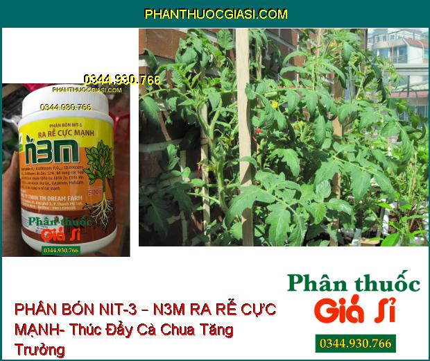 PHÂN BÓN NIT-3 – N3M RA RỄ CỰC MẠNH- Kích Thích Ra Rễ- Chống Rụng Hoa- Tăng Đậu Trái