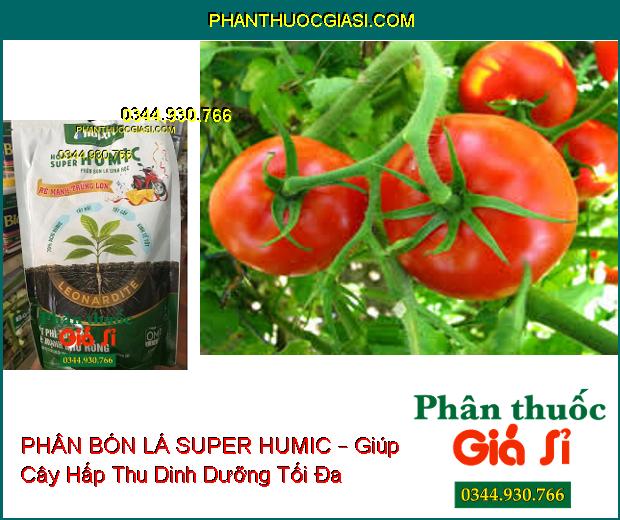 PHÂN BÓN LÁ SINH HỌC SUPER HUMIC – Đất Phì Tơi Xốp- Rễ Mạnh Như Rồng