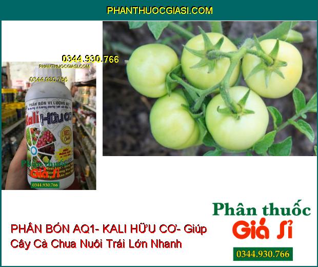 PHÂN BÓN VI LƯỢNG AQ1- KALI HỮU CƠ – Xanh Cây- Chống Rụng Trái- To Trái- Tăng Hương Vị